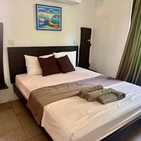 Отель Arthotel Oscar Ii
